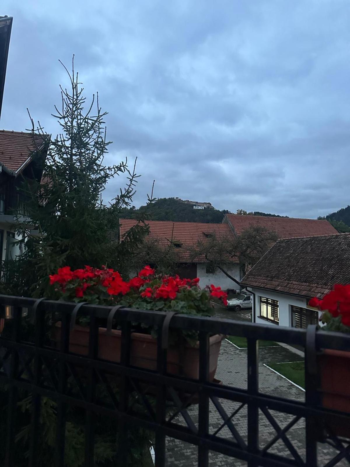 Pensiunea Casa Saxonia ริชนอฟ ภายนอก รูปภาพ