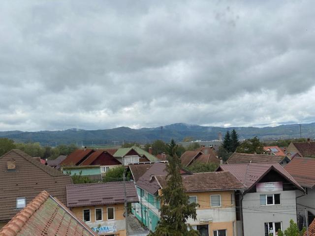 Pensiunea Casa Saxonia ริชนอฟ ภายนอก รูปภาพ