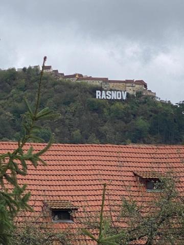 Pensiunea Casa Saxonia ริชนอฟ ภายนอก รูปภาพ